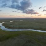 Leveraging Citizen Science to Monitor Biodiversity in Changing Climates