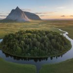 Circular Rewilding: Integrating Ecological Restoration into the Circular Economy to Protect Biodiversity