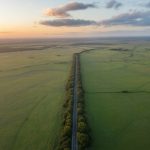 Restoring Ecological Connectivity: How Wildlife Corridors Can Strengthen Biodiversity in Fragmented Landscapes