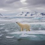 Ecology issues and their impact on biodiversity, climate change and sustainable development