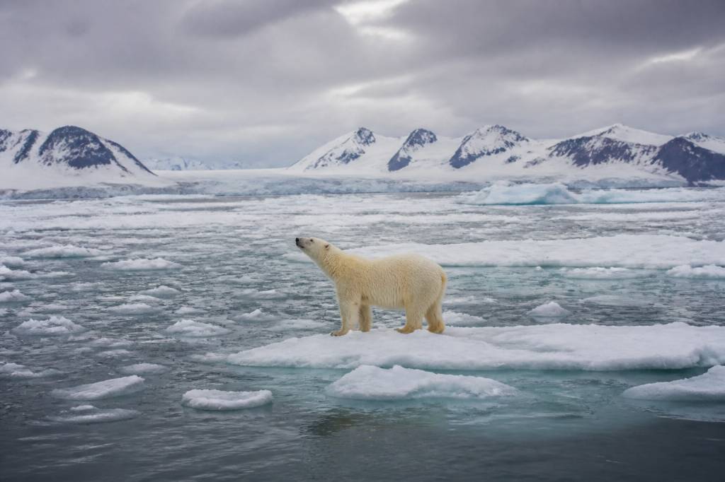 Ecology issues and their impact on biodiversity, climate change and sustainable development