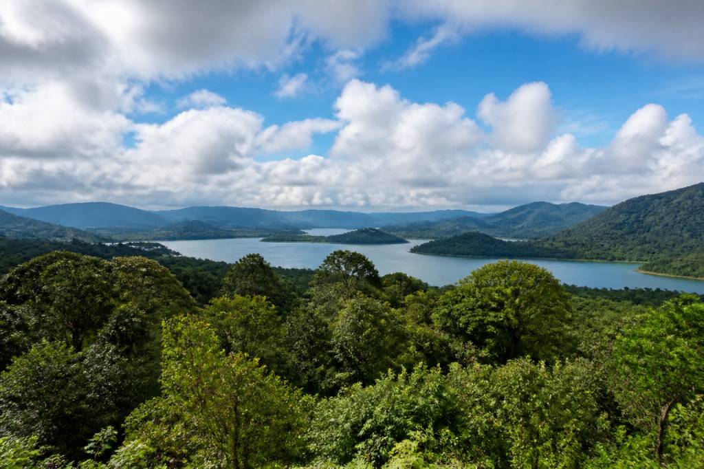 Ecology and sustainable development: understanding ecosystems, biodiversity and climate resilience